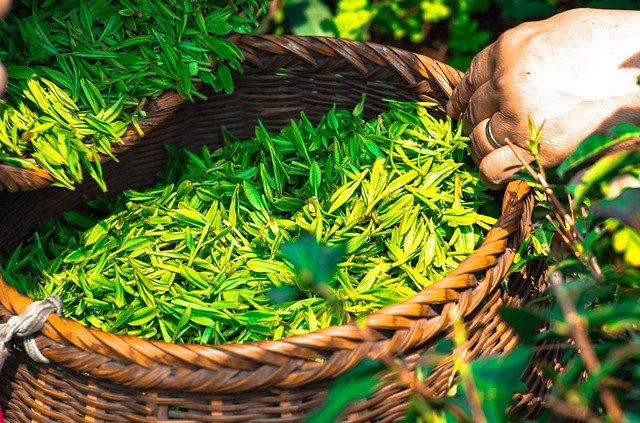 微信小程序对于茶叶行业来讲为什么是大变革？